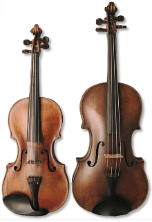 Violino - viola